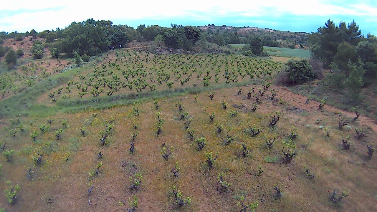 Valdemilano vista aérea primavera 2025 con cubierta íntegra